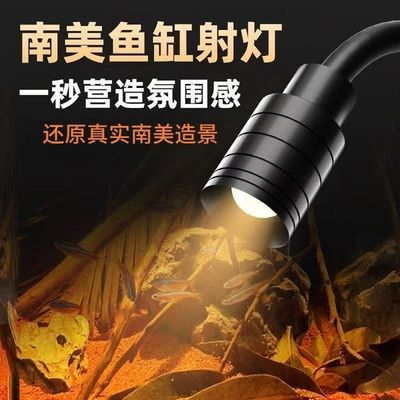 South American Spotlight - 3W(without powder Adp)⚪🟡🟠