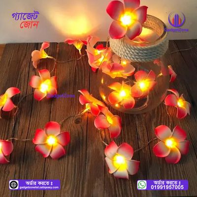 KathGulap Fairy Light💥_img_0