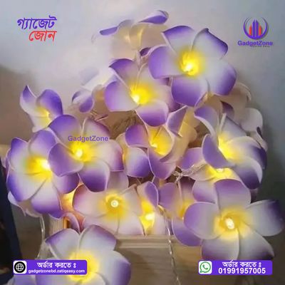 KathGulap Fairy Light💥_img_1