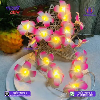 KathGulap Fairy Light💥_img_3