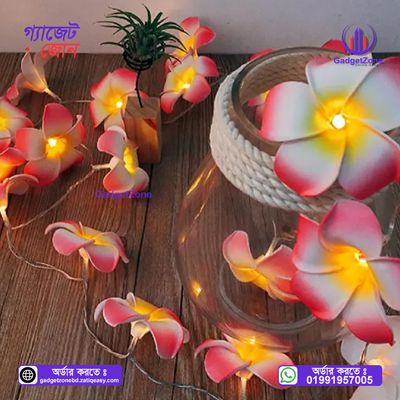 KathGulap Fairy Light💥_img_4
