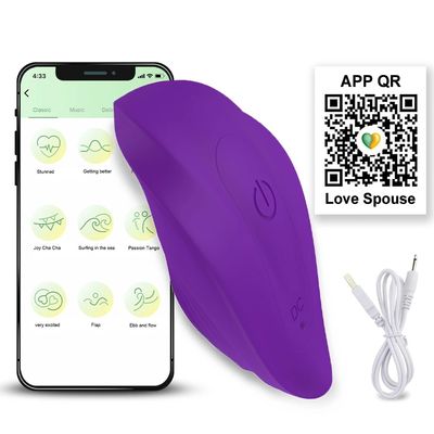APP Remote Control Vibrator Panties Wearable Novelties Clitoris Vagina Stimulator Powerful Vibrating Pleasure Sex Toys for Women_img_3