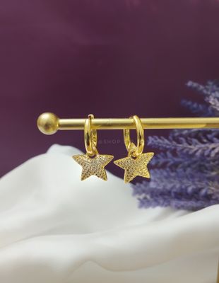 Astro golden earrings_img_0