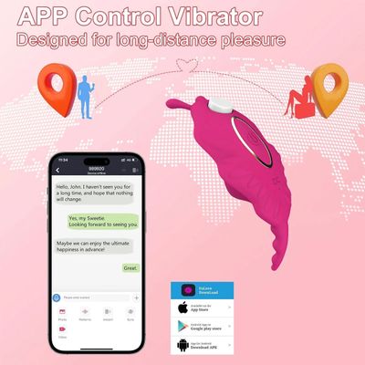 Wireless Bluetooth Control Clit Vibrator Magnetic Wearable Panty G Spot Stimulator Powerful Vibrating Pleasure Sex Toy for Women_img_3