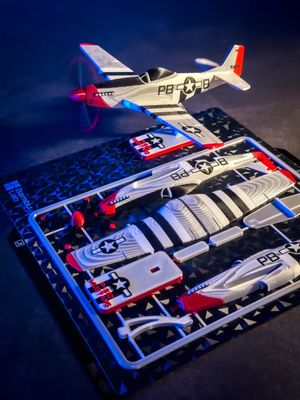 P51D Mustang Plane Kit Card_img_6