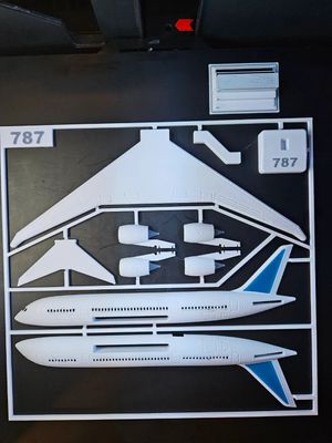 787 Airplane Kit Card_img_2