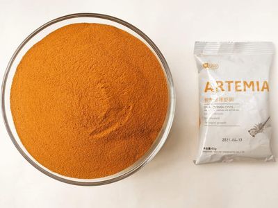 Artemia ( Decapsulated Brine shrimp egg) 60 grm_img_0