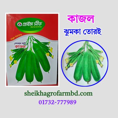 কাজল (ঝুমকা তোরই)_img_0