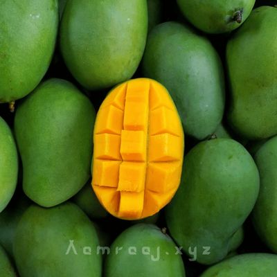 Gopalvog Mango - 20kg_img_1