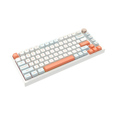VGN N75 Pro Wireless RGB Mechanical Keyboard (Steam Wave Pro Switch)_img_1
