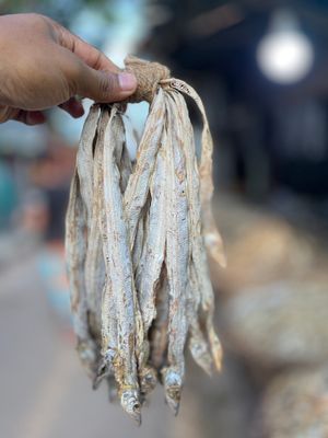 ছুরি শুঁটকি ছোট সাইজ  (Churi Shutki)_img_0