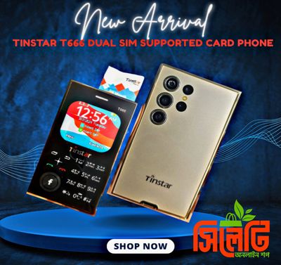 Tinstar T666 Dual sim supported Card phone Golden color_img_0
