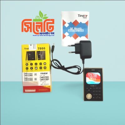 Tinstar T666 Dual sim supported Card phone Golden color_img_3