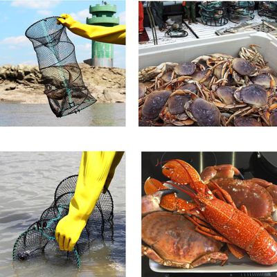 China fising net - Shrimp Crab Koi Carp_img_2