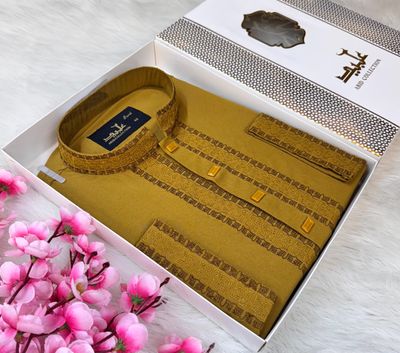 PREMIUM EMBROIDERY PANJABI || 🩵✨_img_0