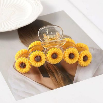 ProX Elegant  Hair Grip for Women HG-101-10_img_2