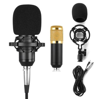BM800 Condenser Microphone_img_0