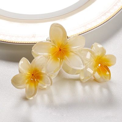 ProX Nonslip Durable Hair Grip For Women HG-103-16 ( Multi-Color )_img_0