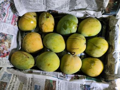 গোবিন্দভোগ_img_1