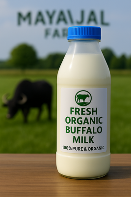 Fresh organic buffalo milk._img_1