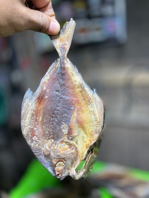 রূপচাঁদা শুঁটকি (Rupchanda)_img_0