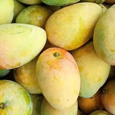 ফজলি আম_img_0