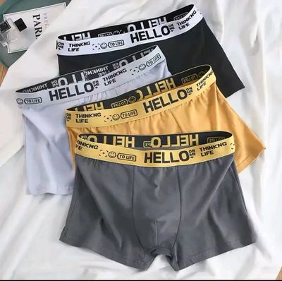 Hello Boxer_img_0