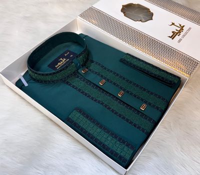 PREMIUM EMBROIDERY PANJABI || 🩵✨_img_1