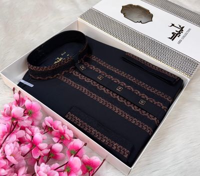 PREMIUM EMBROIDERY PANJABI || 🩵✨_img_0