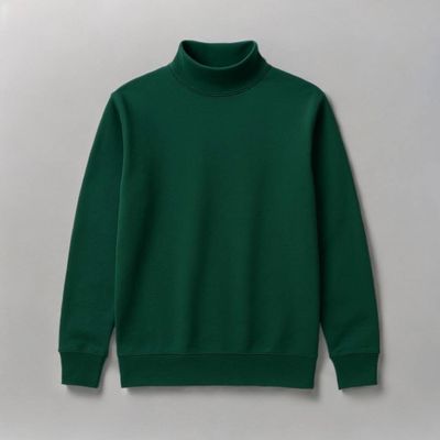 Premium Ribbed Turtleneck Sweater
