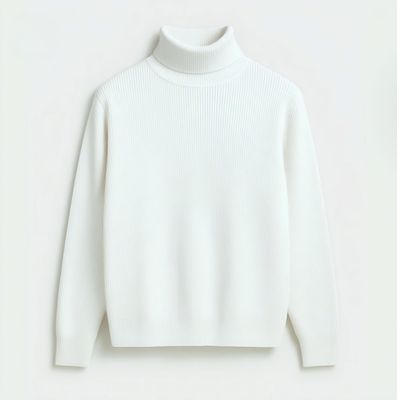 Premium Ribbed Turtleneck Sweater_img_0