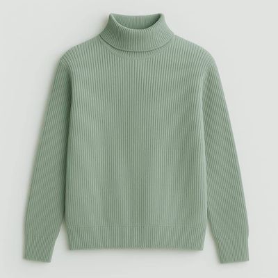 Premium Ribbed Turtleneck Sweater_img_0