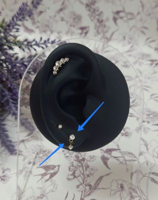 Nina Stud earrings || single piece ||_img_1