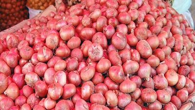 Onion 1 kg_img_0