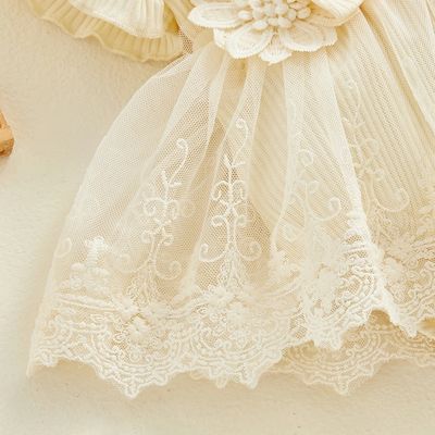 Baby Girl Flower Lace Tulle & 3D Floral Design Romper Dress with Headband (0 to 18 Months)_img_8