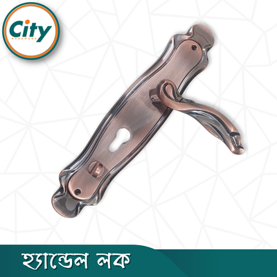 প্রিমিয়াম কুয়ালিটির হ্যান্ডেল লক অতিরিক্ত নব সহ প্রধান দরজার লক হেভি ডোর লক_img_5