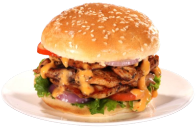 Chicken burger with cheese_img_0