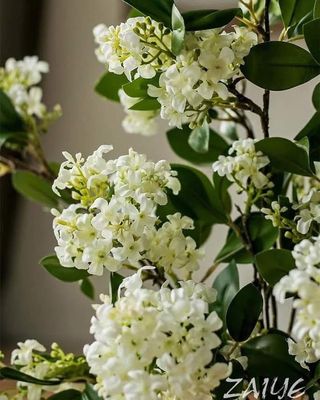 Kamini Flowers_img_4