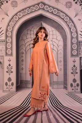 Salwar kameez_img_1