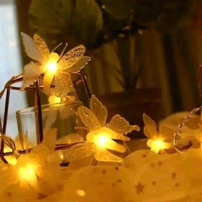 Butterfly LED Lights🦋_img_5