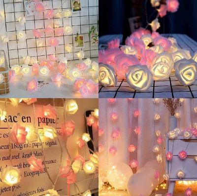 Rose Fairy Light_img_1