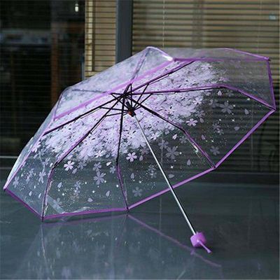 Transparent Umbrella – Stylish Protection in Every Drop!_img_2