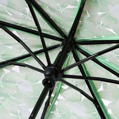 Transparent Umbrella – Stylish Protection in Every Drop!_img_4