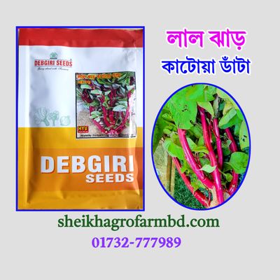 লাল ঝাড় কাটোয়া_img_0