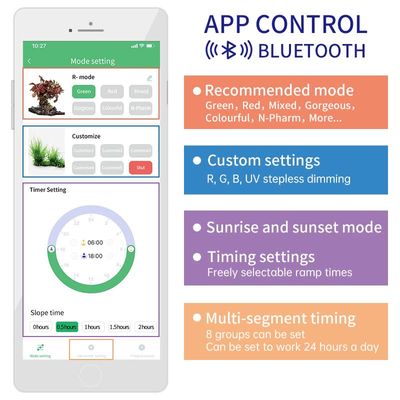 Week Aqua S series Ver 3_img_2