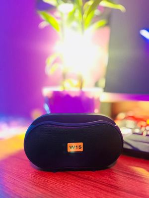 W15 bluetooth portable wireless speaker_img_5