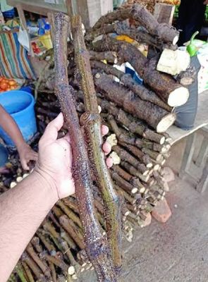 চুকনগরের চুই ঝাল_img_2