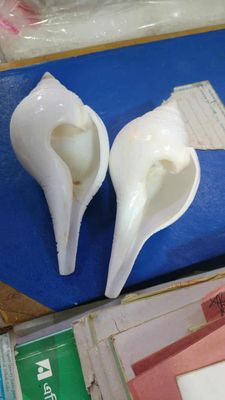 পেটকাটা জনসংখ্যা_img_0