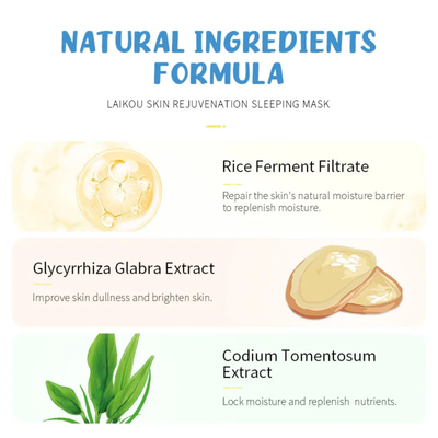 Rice Ferment Filtrate Skin Rejuvenation Sleeping Mask – Moisturizing, Repairing, Brightening_img_2