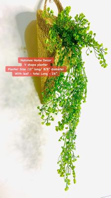 V shape Planter With Shamuk Jhaar_img_2